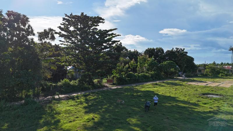 Agricultural Lot for sale in Bien Unido