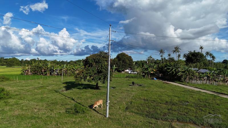 Agricultural Lot for sale in Bien Unido in Bohol