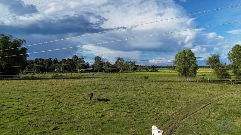 Agricultural Lot for sale in Bien Unido in Philippines