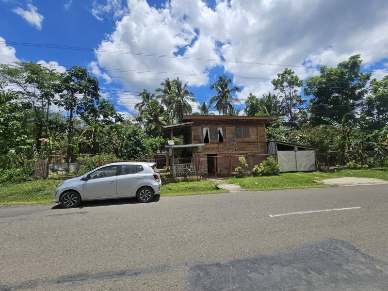 Picture of Agricultural Lot for sale in Bilar