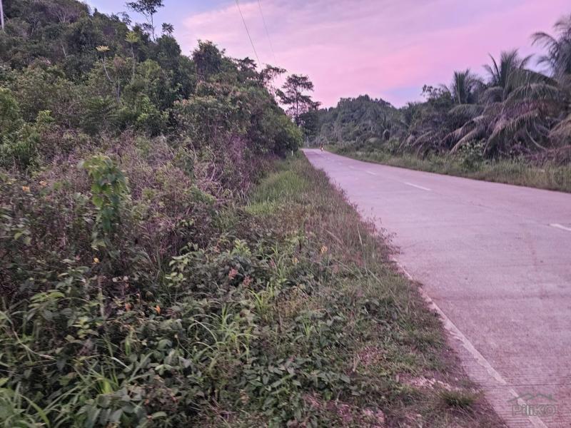 Agricultural Lot for sale in Balilihan - image 3