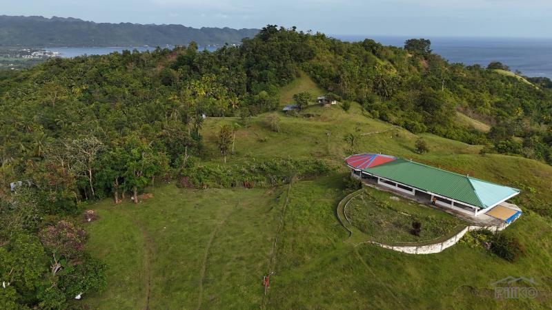 Picture of Agricultural Lot for sale in Guindulman