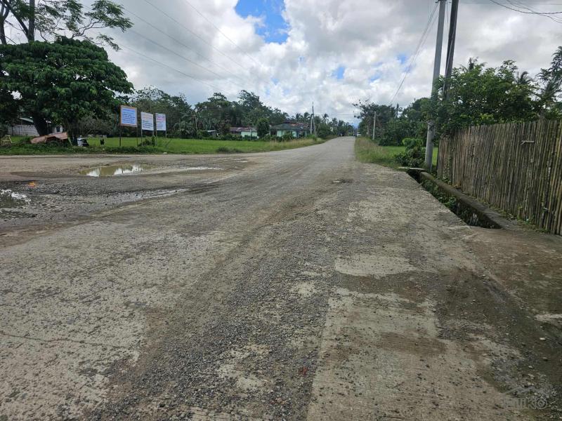 Picture of Agricultural Lot for sale in Carmen