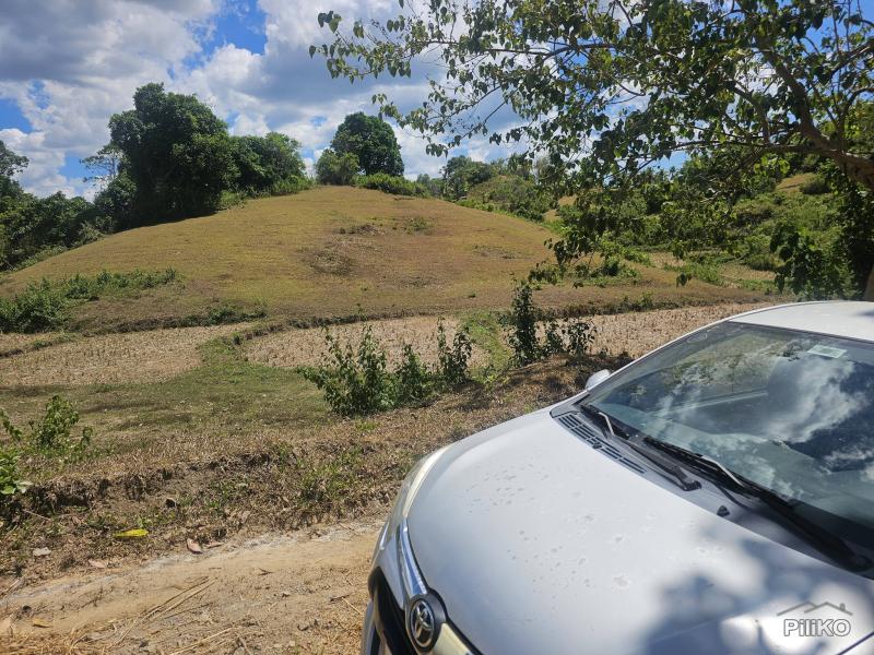 Picture of Agricultural Lot for sale in Buenavista