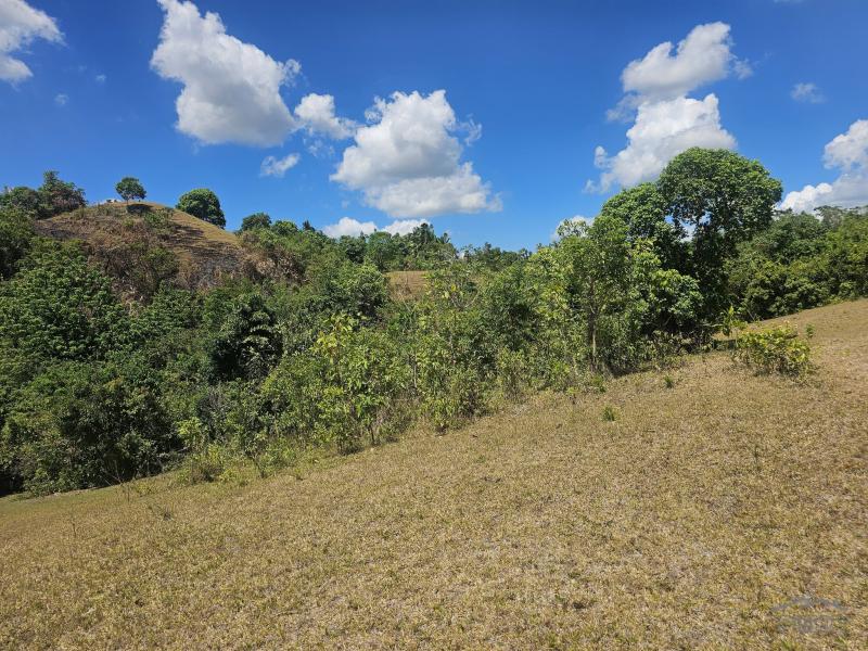 Agricultural Lot for sale in Buenavista in Philippines