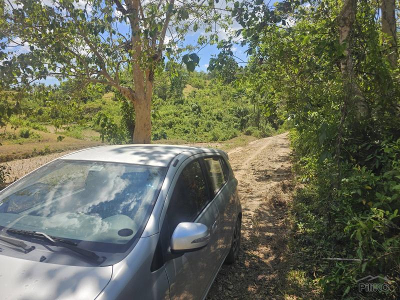 Picture of Agricultural Lot for sale in Buenavista in Bohol