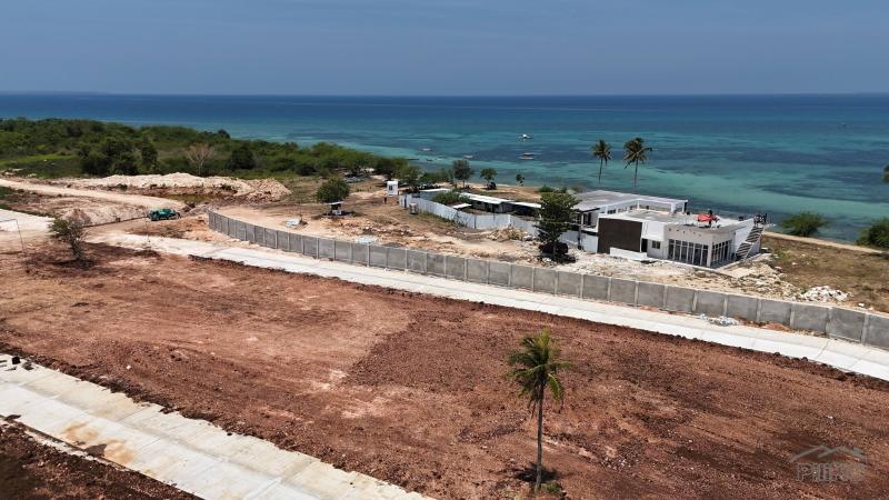 Picture of Agricultural Lot for sale in Daanbantayan