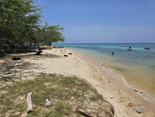 Agricultural Lot for sale in Daanbantayan