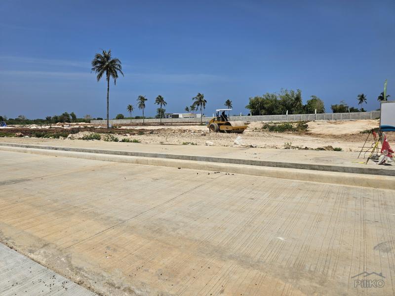 Agricultural Lot for sale in Daanbantayan - image 3