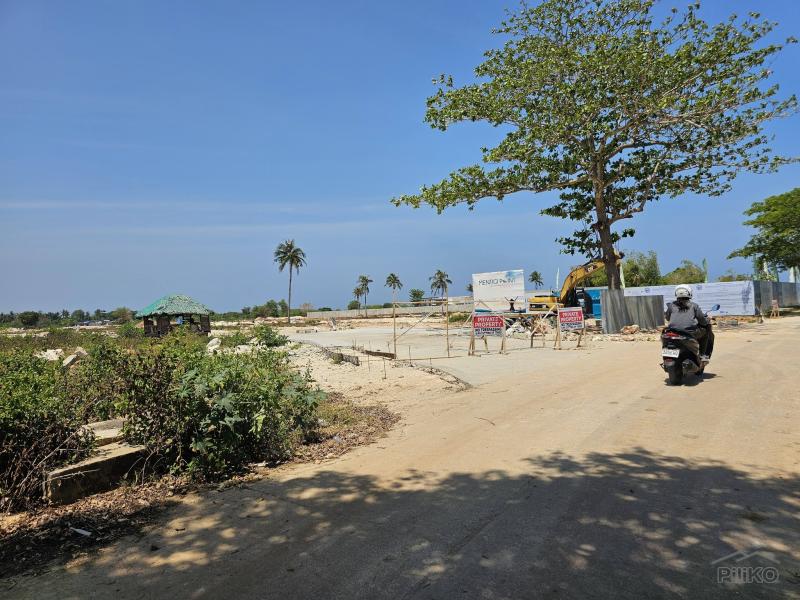 Agricultural Lot for sale in Daanbantayan - image 4