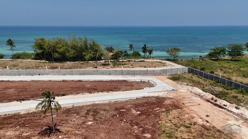 Picture of Agricultural Lot for sale in Daanbantayan in Cebu