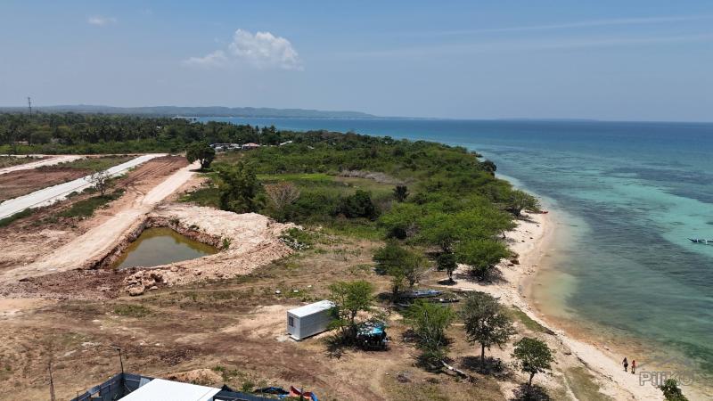 Picture of Agricultural Lot for sale in Daanbantayan in Philippines