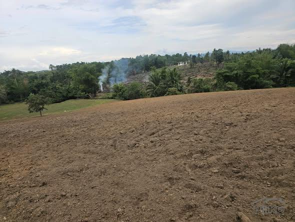 Picture of Agricultural Lot for sale in Ubay