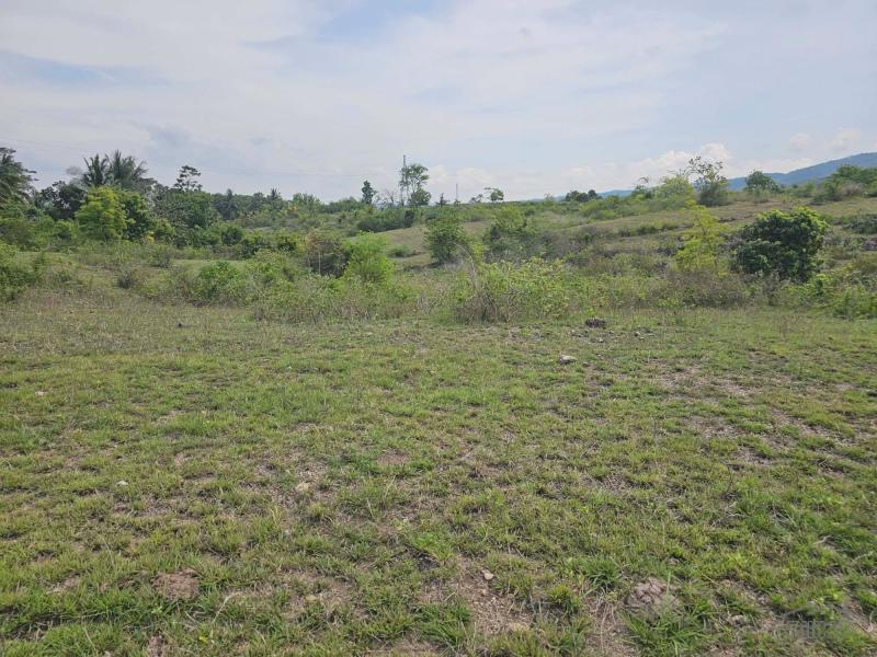 Agricultural Lot for sale in Badian - image 2