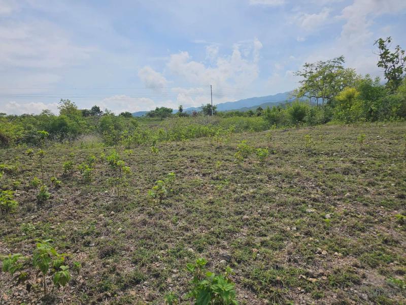 Agricultural Lot for sale in Badian - image 7