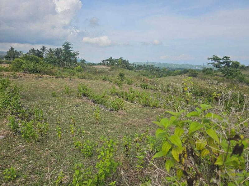 Agricultural Lot for sale in Badian - image 8