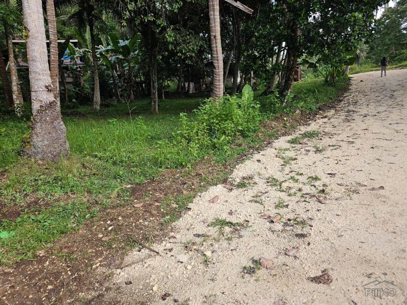 Agricultural Lot for sale in Corella - image 5