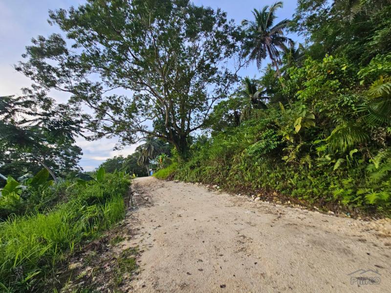 Picture of Agricultural Lot for sale in Corella