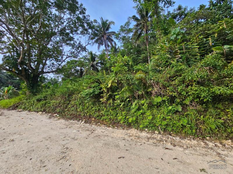 Agricultural Lot for sale in Corella - image 2