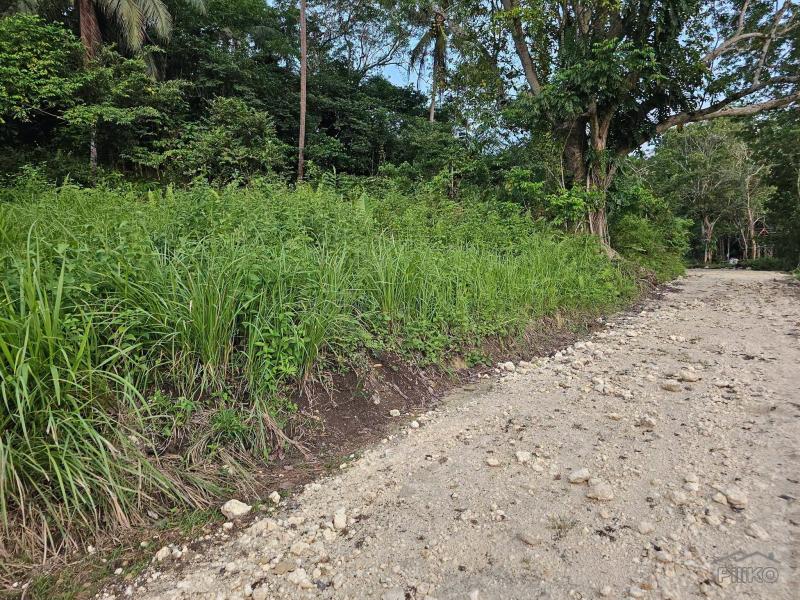 Agricultural Lot for sale in Corella - image 3