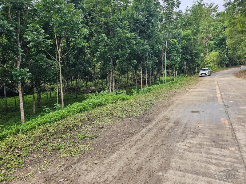 Agricultural Lot for sale in Corella - image 3