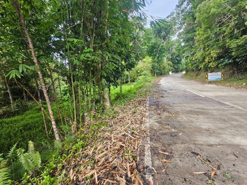 Agricultural Lot for sale in Corella - image 4
