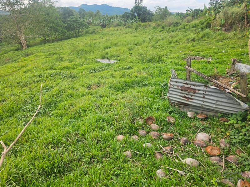 Agricultural Lot for sale in Carmen - image 2