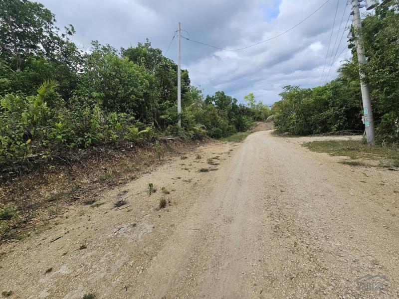 Picture of Agricultural Lot for sale in Alburquerque
