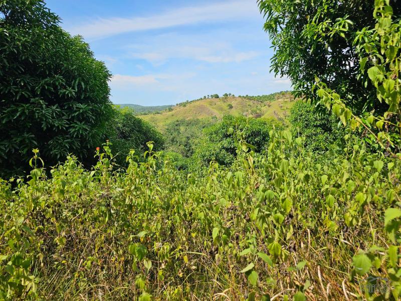 Memorial Lot for sale in Buenavista - image 3