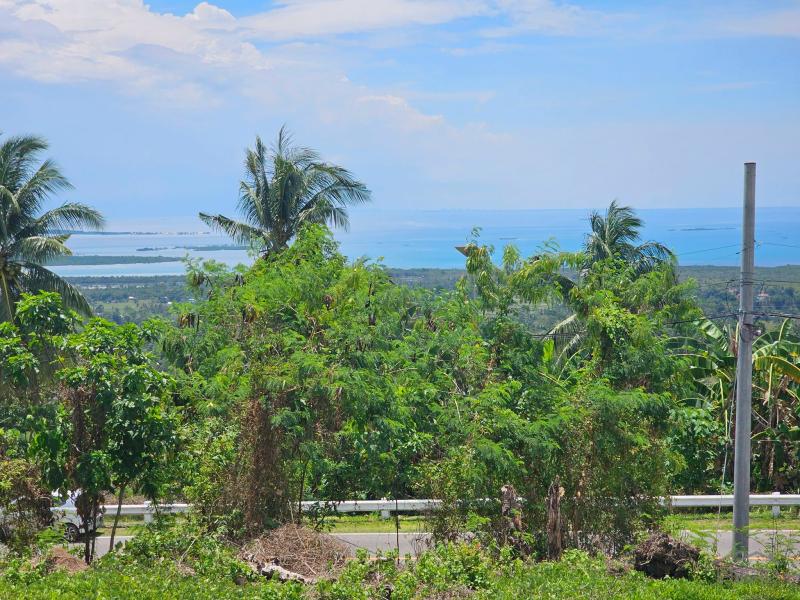Agricultural Lot for sale in Tubigon - image 2