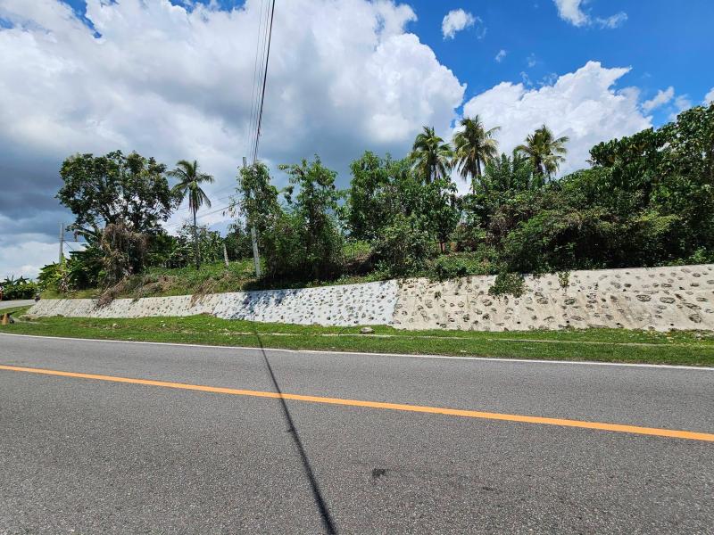 Agricultural Lot for sale in Tubigon - image 5