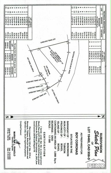 Agricultural Lot for sale in Tubigon - image 7