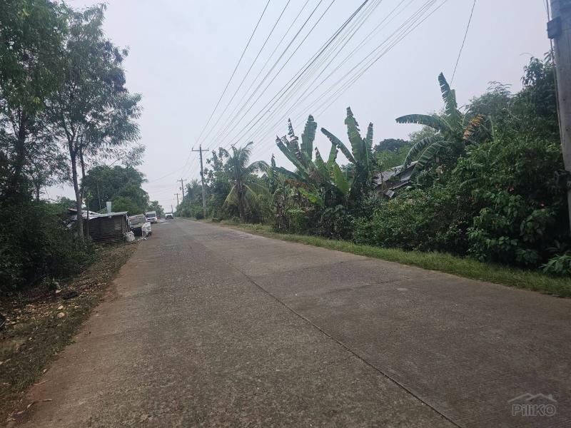 Residential Lot for sale in Panglao