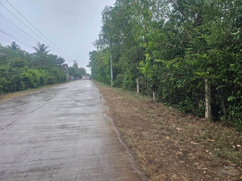 Residential Lot for sale in Panglao in Bohol