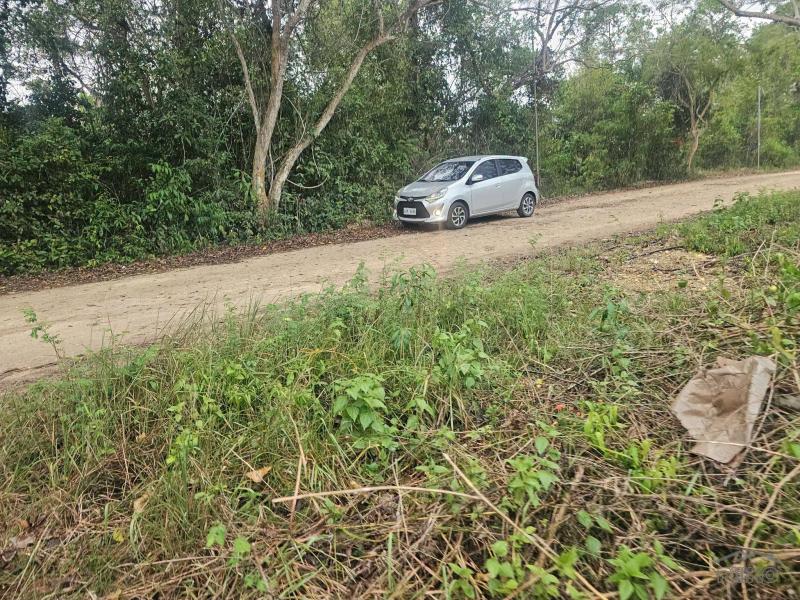 Residential Lot for sale in Panglao - image 3