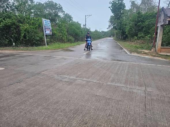 Residential Lot for sale in Panglao - image 4