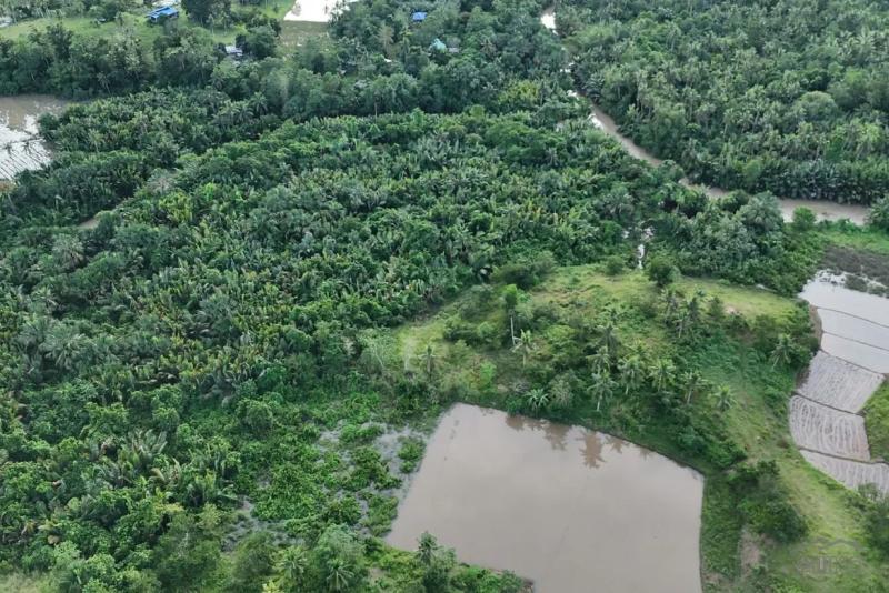 Agricultural Lot for sale in Trinidad - image 13