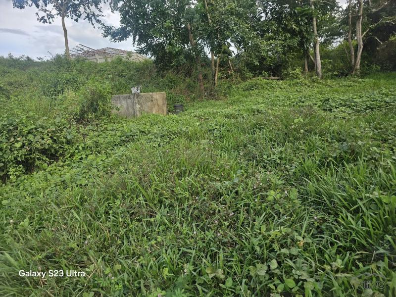 Agricultural Lot for sale in Trinidad - image 15