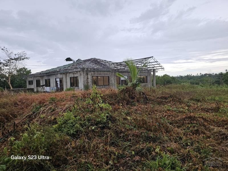Agricultural Lot for sale in Trinidad - image 16