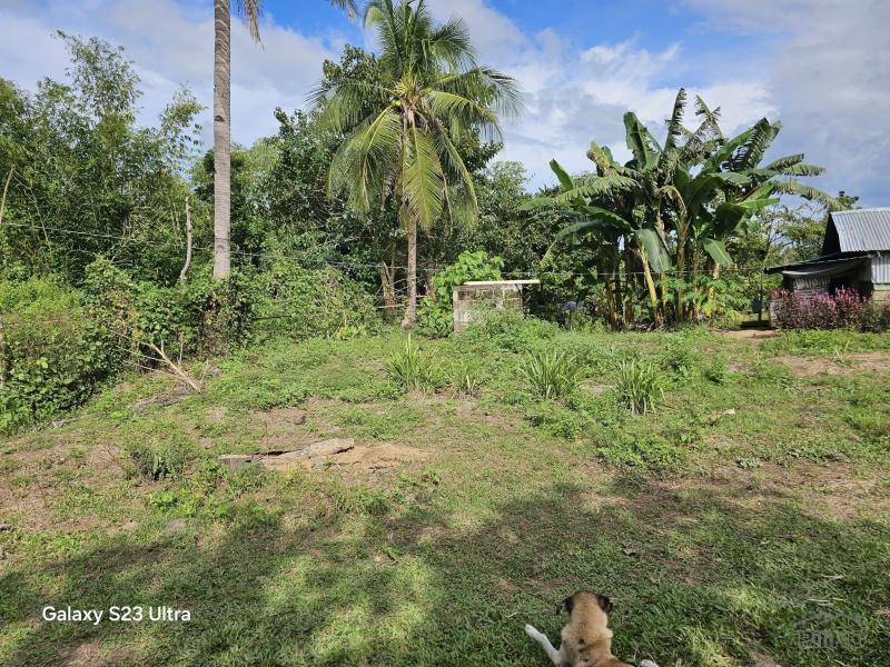 Agricultural Lot for sale in Trinidad - image 17