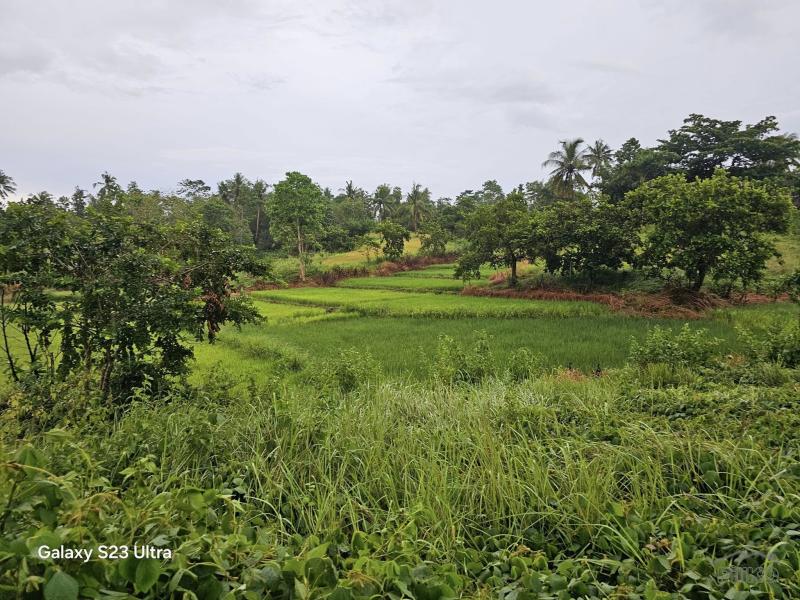 Picture of Agricultural Lot for sale in Trinidad