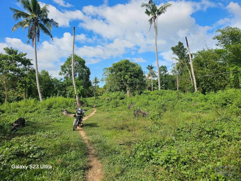 Agricultural Lot for sale in Trinidad - image 20
