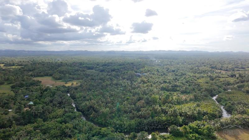 Agricultural Lot for sale in Trinidad - image 21