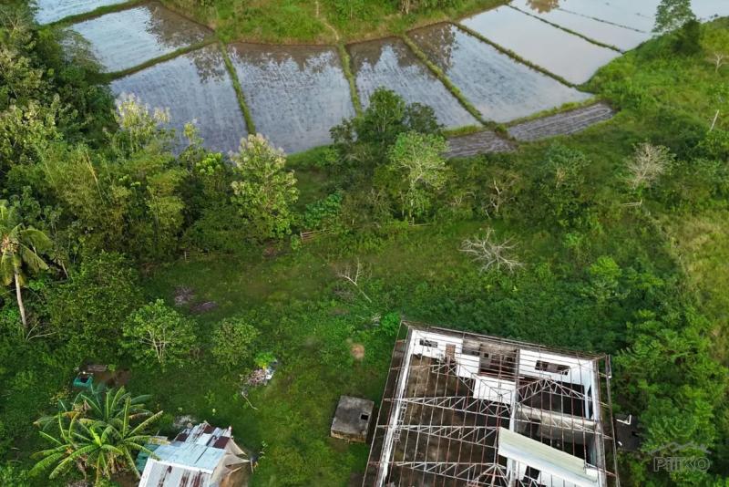 Agricultural Lot for sale in Trinidad - image 22