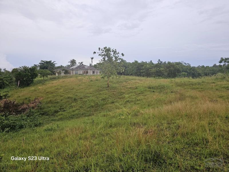 Agricultural Lot for sale in Trinidad in Bohol