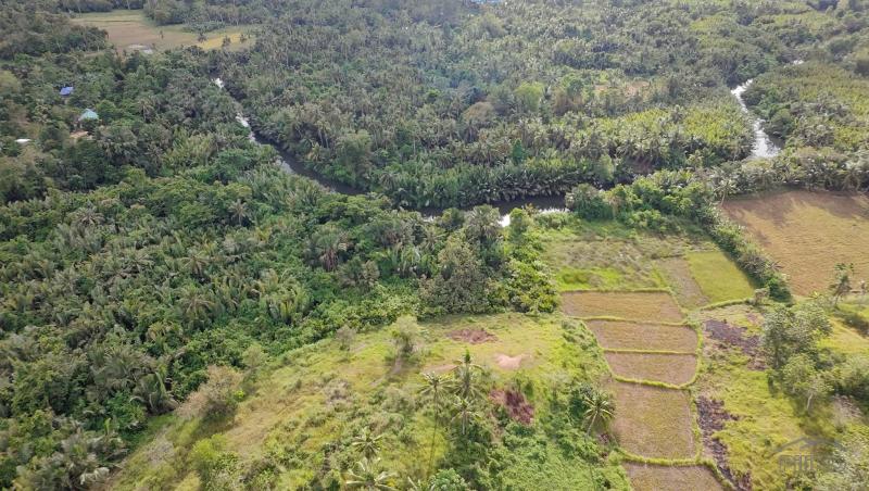 Picture of Agricultural Lot for sale in Trinidad in Philippines