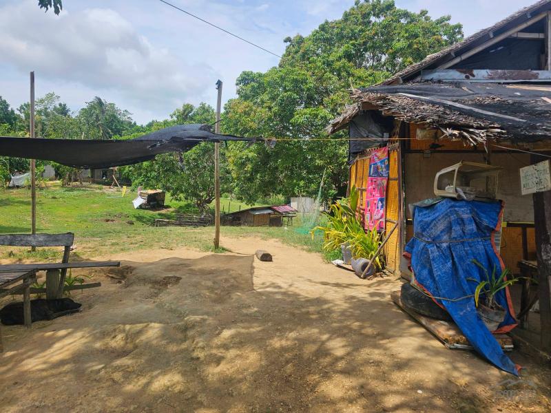 Agricultural Lot for sale in Buenavista - image 10
