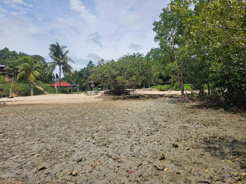 Agricultural Lot for sale in Buenavista - image 11