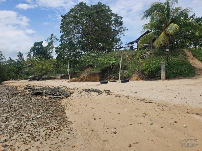 Agricultural Lot for sale in Buenavista
