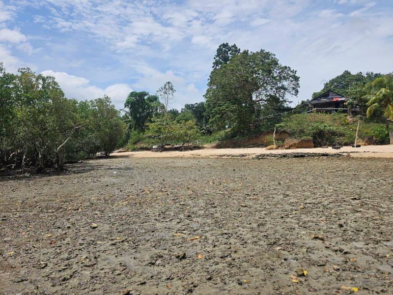 Agricultural Lot for sale in Buenavista in Bohol